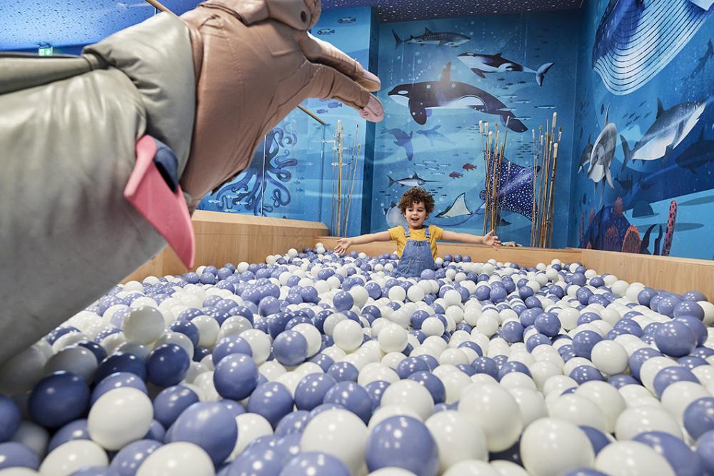 Child in the ball pool in the children's world Anoha.