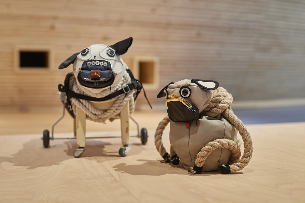 Two small dogs as exhibition animals in the children's world Anoha.