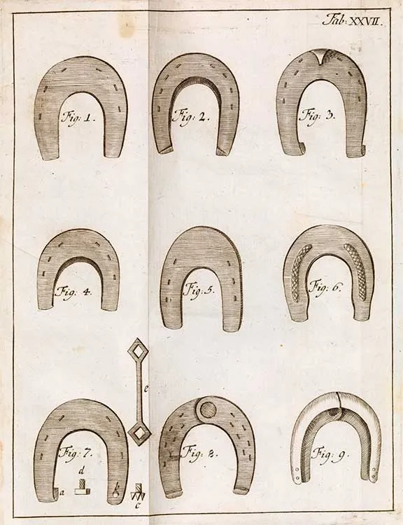 Figure with nine illustrated horseshoes of different shapes