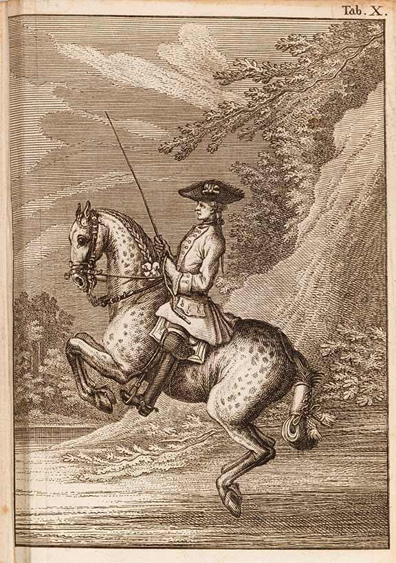 Zeichnung eines adlig gekleideten Reiters auf einem sich vorne aufbäumenden Pferd