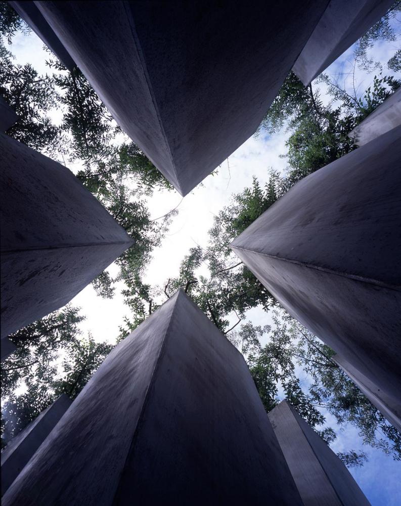 View up in the garden of exile.