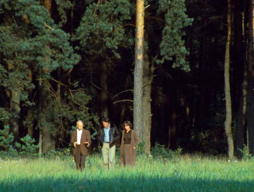 Zwei Männer und eine Frau gehen über eine Wiese, hinter ihnen ist dichter Wald zu sehen.