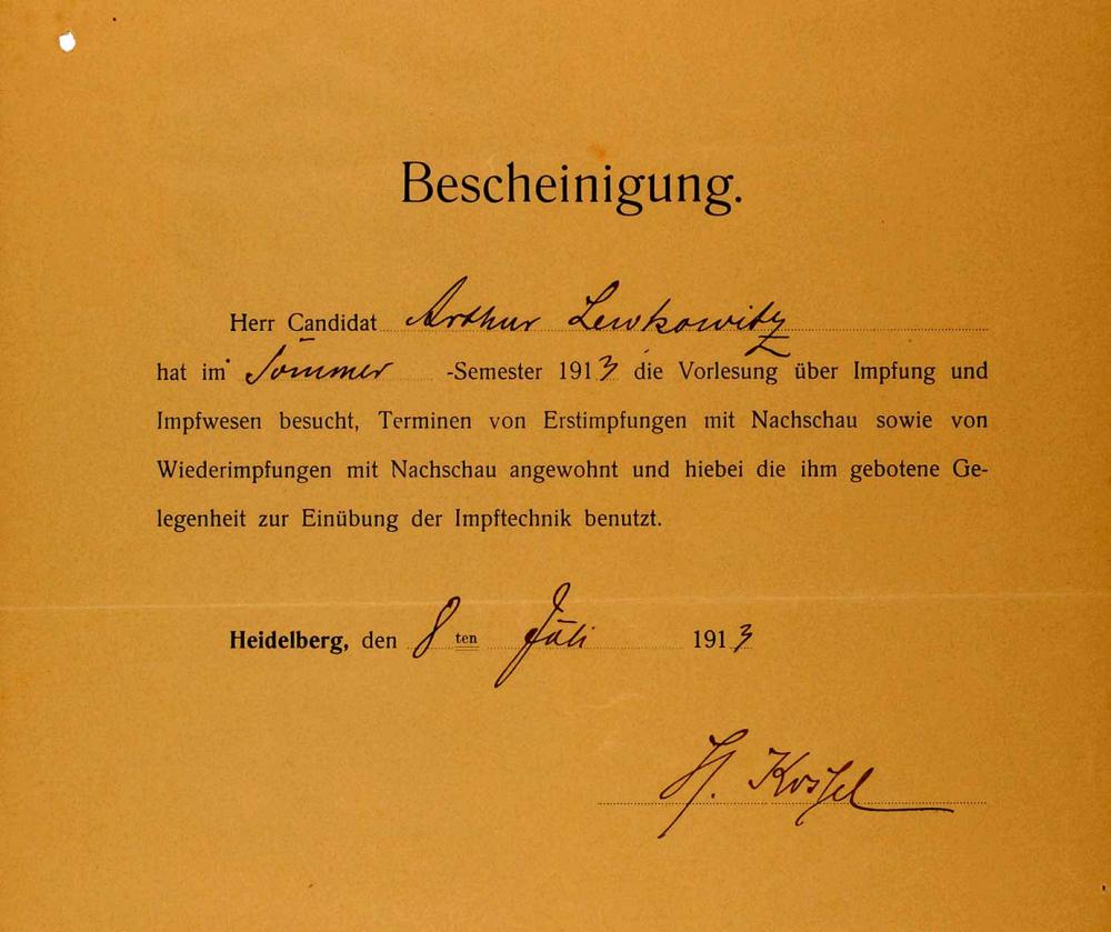 Printed form from Ruprecht Karl University of Heidelberg, completed by hand in ink, for the lecture on vaccines and immunization in the summer semester of 1913.