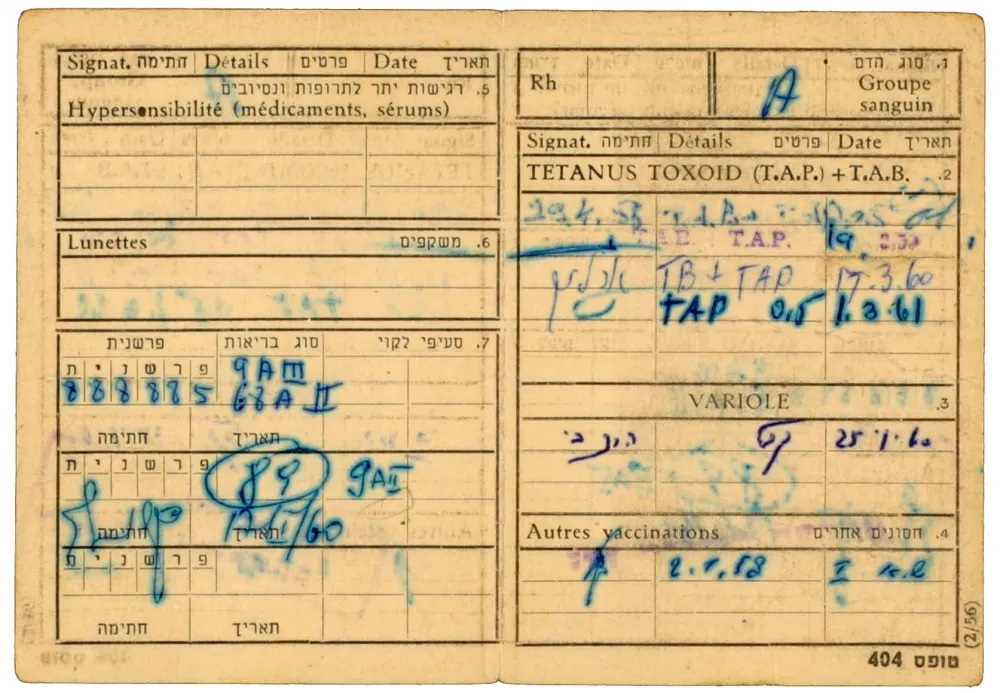 Identity card for Willi Löhr: The identity card lists Willi Löhr’s vaccines his blood type, initialed by the recording doctor