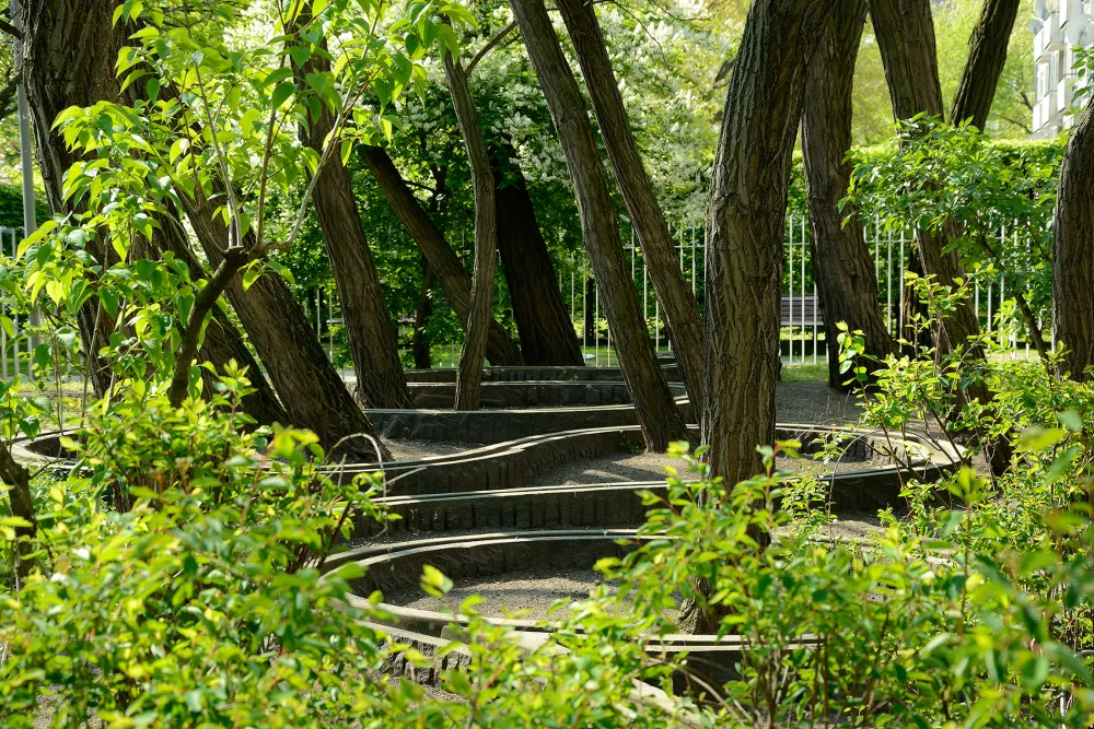 Robinienwäldchen mit Brunnenanlage in Form einer Schlange