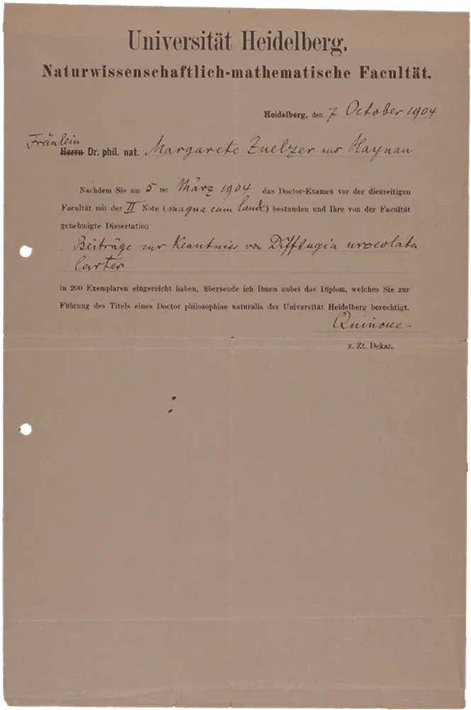 Old printed doctoral certificate, which was supplemented by hand.