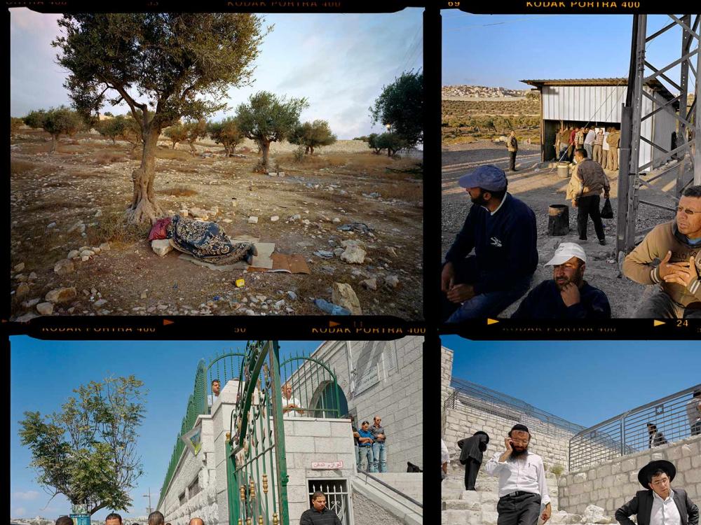 Ausschnitt aus einer Kontaktabzug-ähnlichen Fotopräsentation mit vier Fotos von Jerusalem, davon nur eines vollständig zu sehen: Jemand schläft auf Pappe und in eine Decke gewickelt unter einem Olivenbaum
