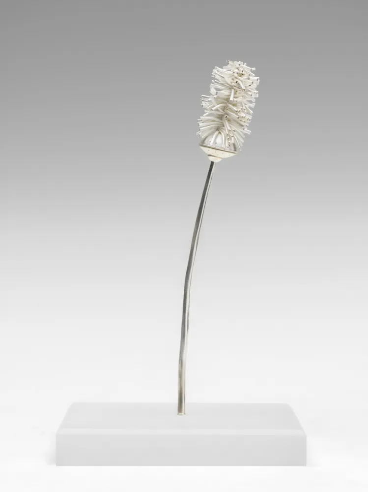 Silver thistle