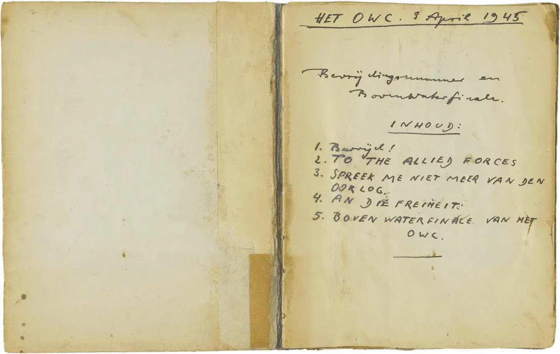 Handschriftliches Inhaltsverzeichnis in Schreibschrift.