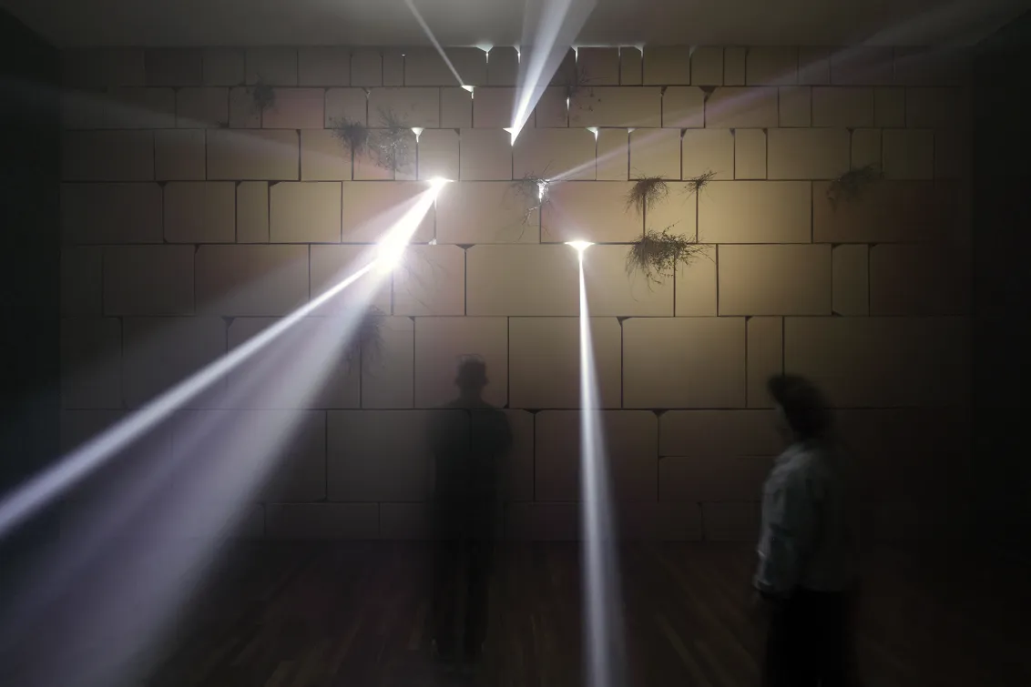  Two people are standing in a rather dark exhibition space, looking at a wall made up of large, individual cardboard boxes. Plants are growing in some places on the wall. Disco lights shine through the cracks between the cardboard boxes, which resemble stones.