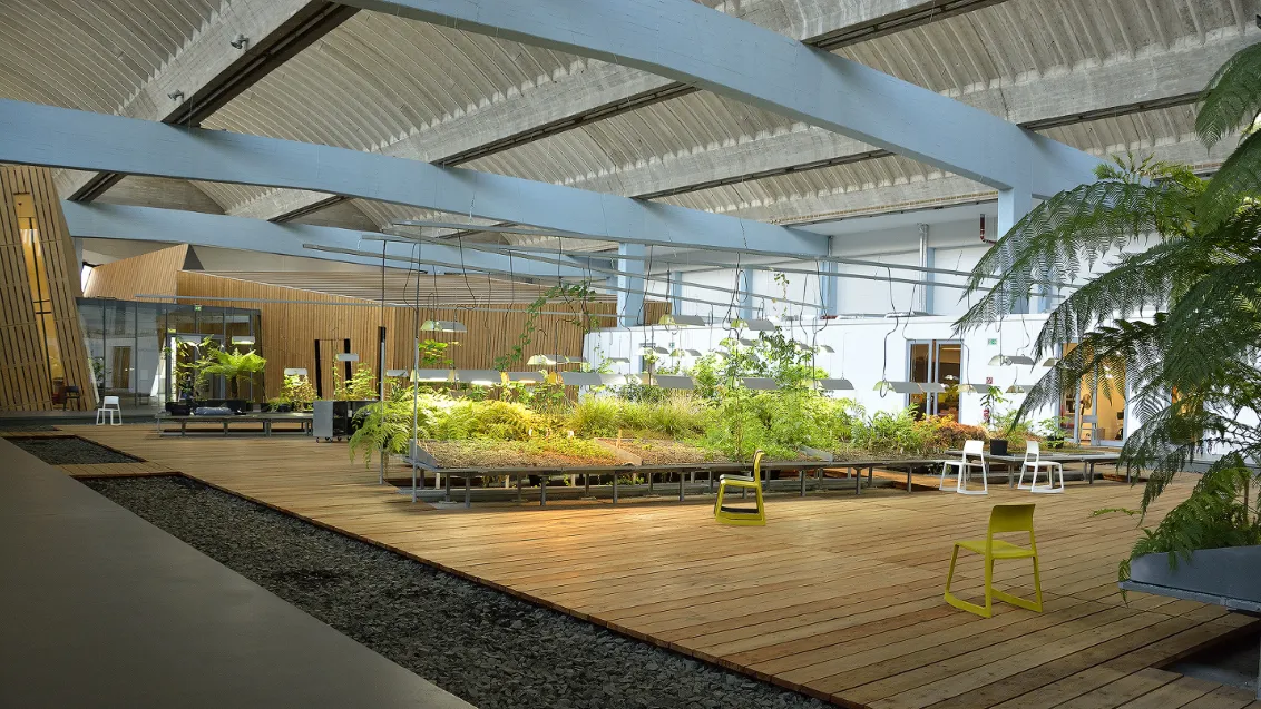 The Diaspora garden: indoor garden with beds.