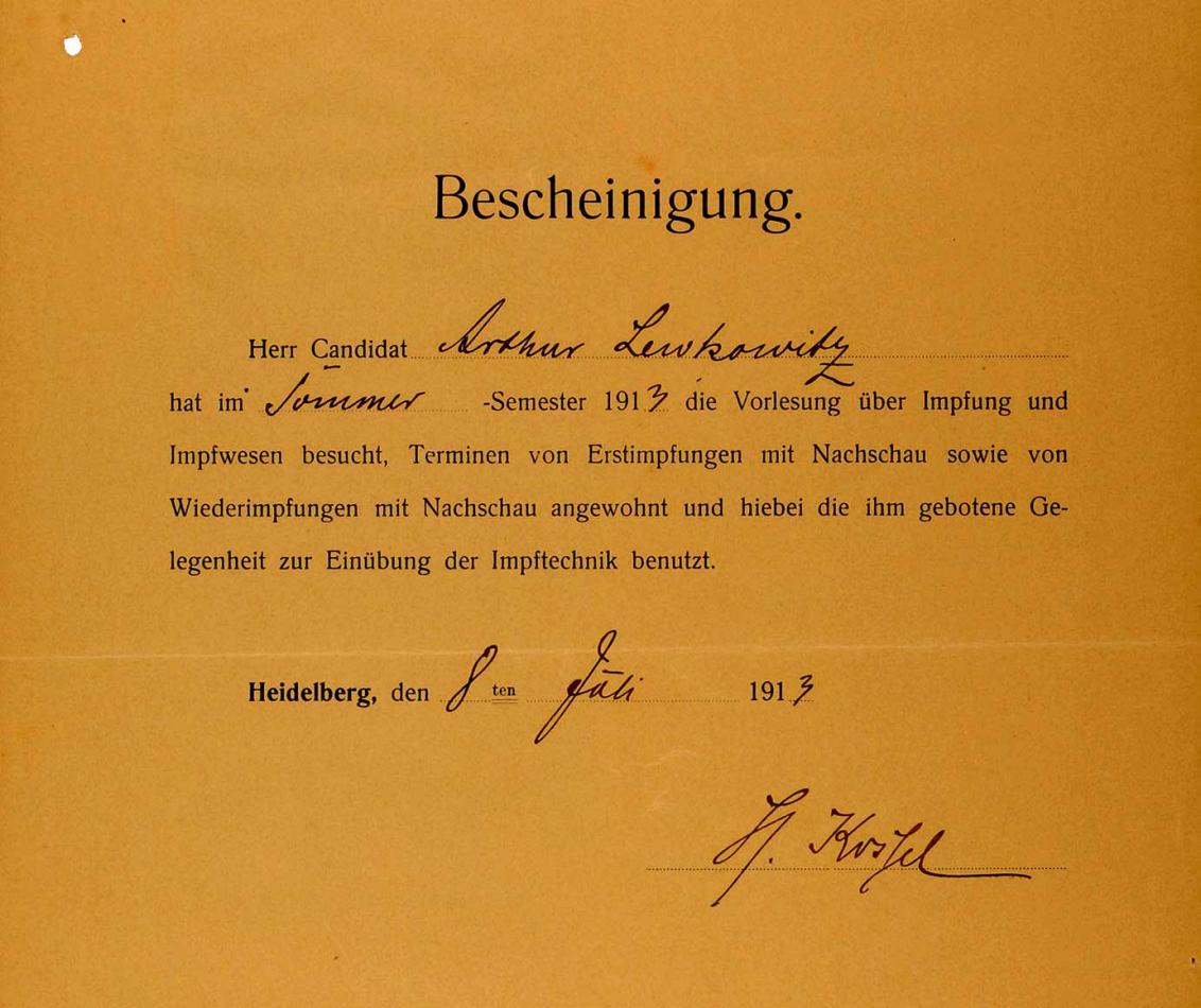 Printed form from Ruprecht Karl University of Heidelberg, completed by hand in ink, for the lecture on vaccines and immunization in the summer semester of 1913.