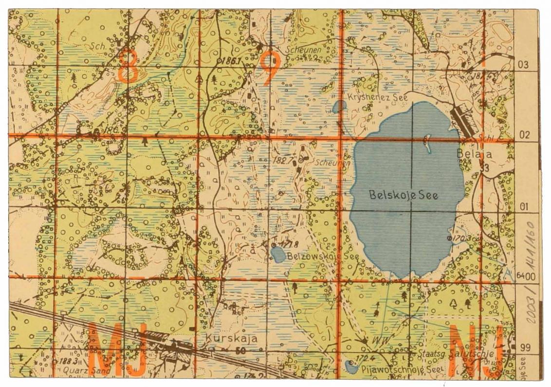 Landkartenausschnitt, auf dem u.a. der Belskoje See abgebildet ist
