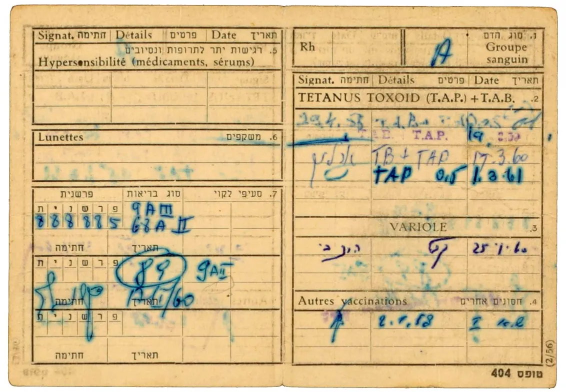 Identity card for Willi Löhr: The identity card lists Willi Löhr’s vaccines his blood type, initialed by the recording doctor