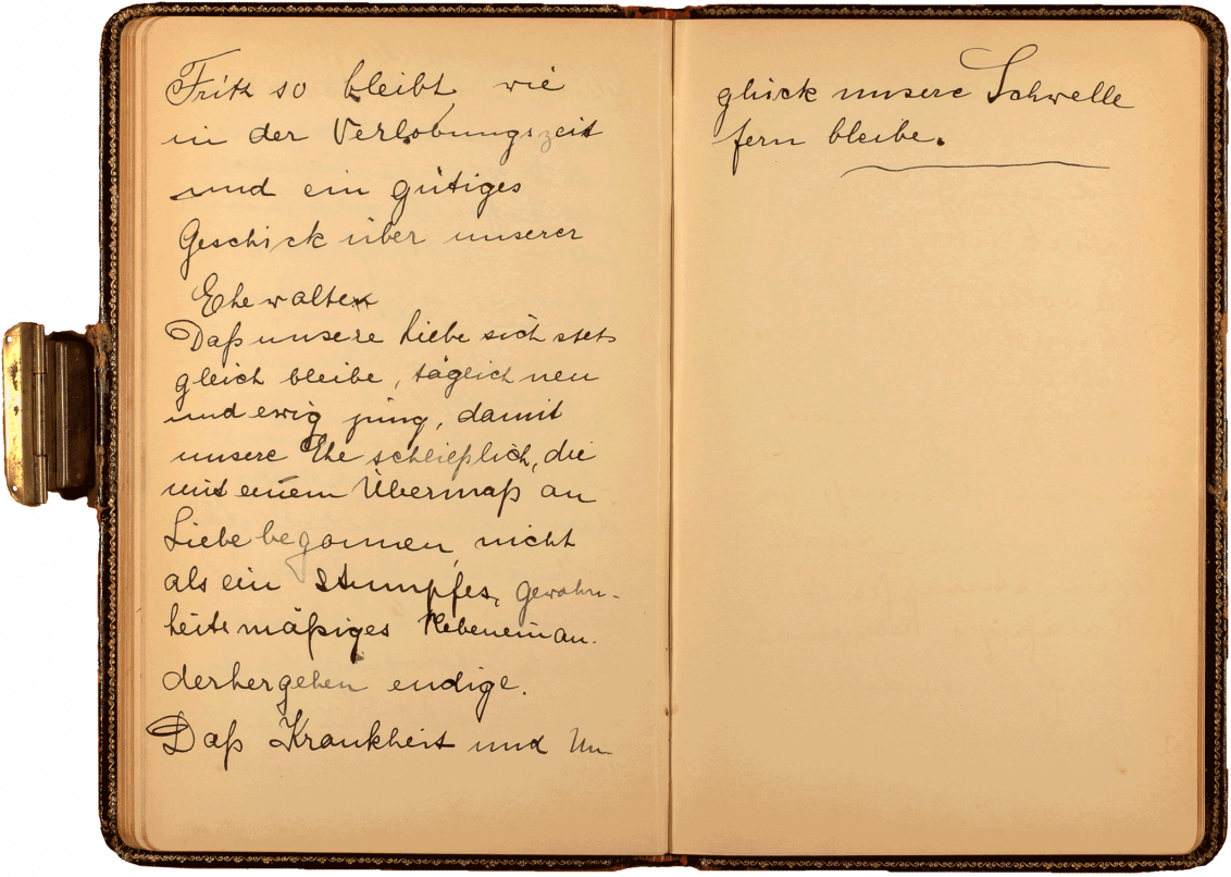 Aufgeklappte Tagebuchseite, die linke Seite und der obere Teil der rechten Seite sind bedeckt mit in schwarzer Tinte geschriebenem handschriftlichem Text.