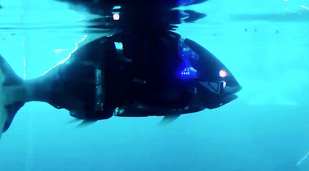 Filmstill: Roboterfisch schwimmt durch Wasser.