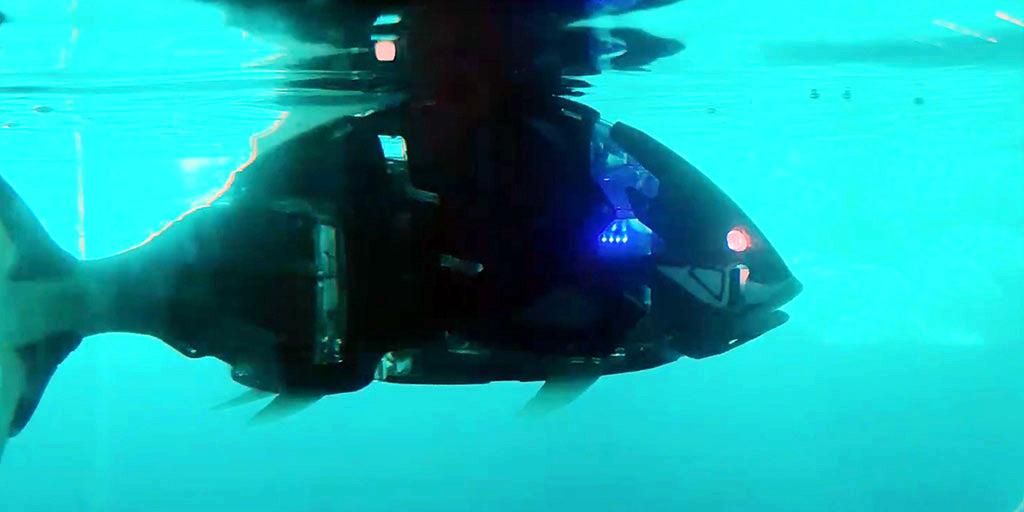 Film still: Robot fish swimming through water.