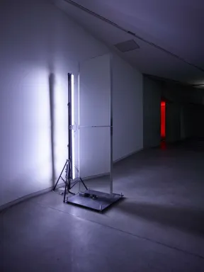 A mirror element is illuminated by a light