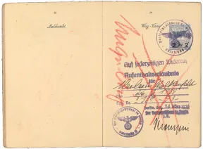 Crossed out stamp inside a passport