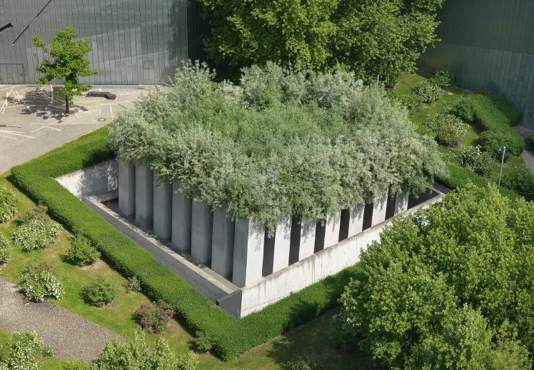 Luftbildaufnahme des Gartens des Exils mit bewachsenen Betonstelen.