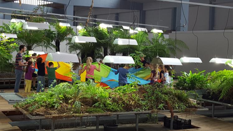 Children play in an indoor garden