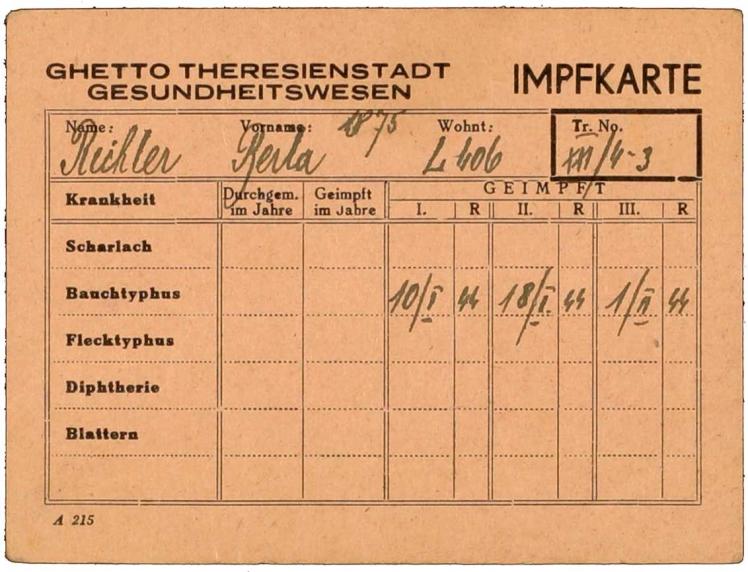 Vaccine certificate for Berta Richter: Theresienstadt ghetto, printed form, filled out by hand, Theresienstadt, 1 Feb 1944