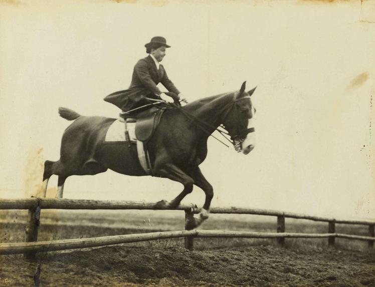 Eine Reiterin in Reitkleidung sitzt im Damensitz auf ihrem Pferd, das im Begriff ist, über ein Hindernis von geringer Höhe zu springen. Die Reiterin presst ihre Lippen zusammen und wirkt dadurch etwas angespannt.
